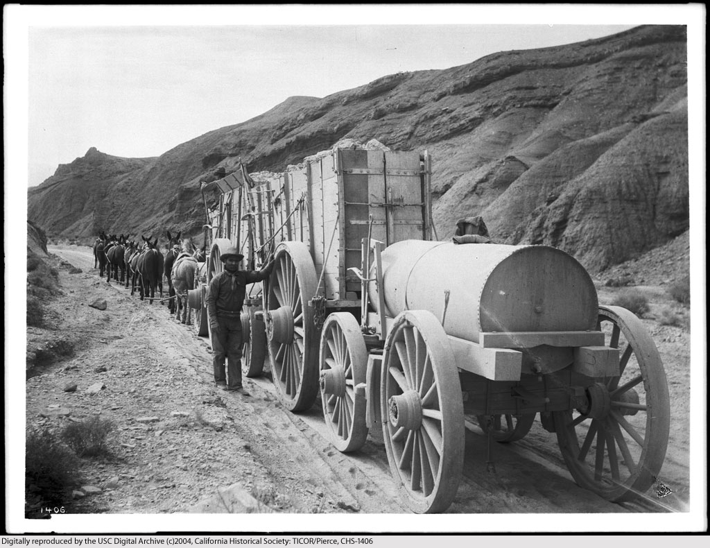 Mule team hauling ore